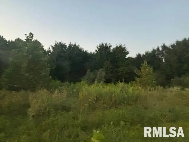 0000 Campbells Corner Road, McLeansboro, IL 62859 - Image #3
