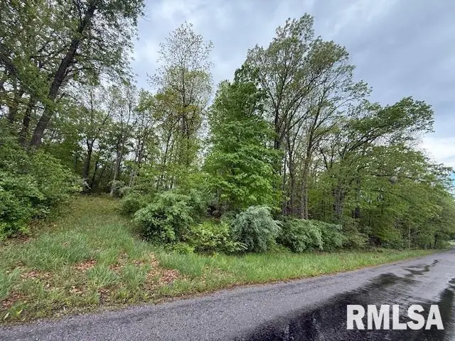 TBD Country Club Road, Marion, IL 62959 - Image #3