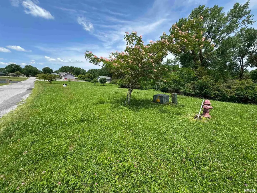 000 Yellow Brick Road, Du Quoin No 4, IL 62832 - Image #3