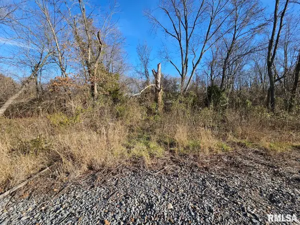 0000 N Il 37 Highway, Bonnie, IL 62816