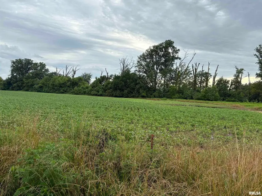 00 N Randolph Drive, Centralia, IL 62801 - Image #3