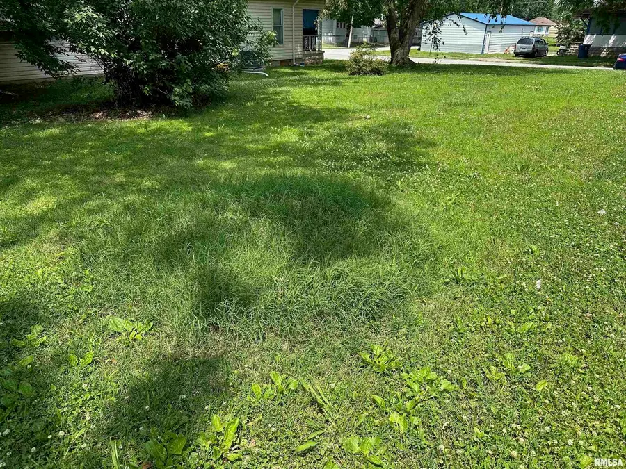 603 S Jesse Street, Christopher, IL 62822 - Image #3