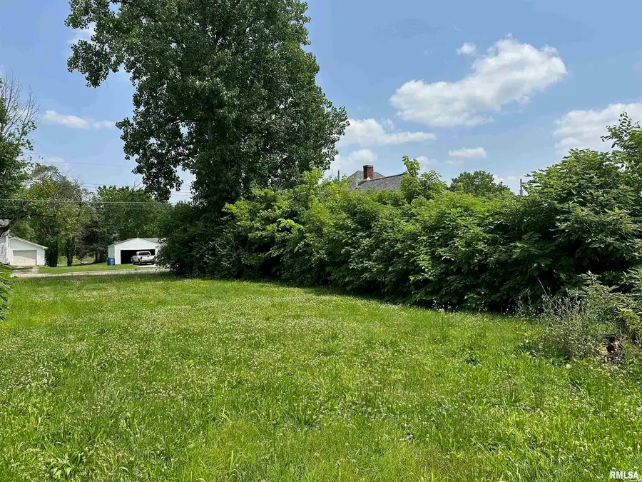 703 N Victor Street, Christopher, IL 62822 - Image #3