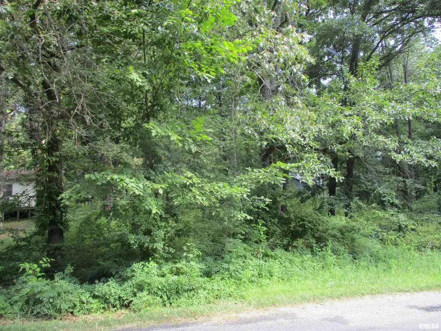 0000 White Birch Court, Benton, IL 62812 - Image #2