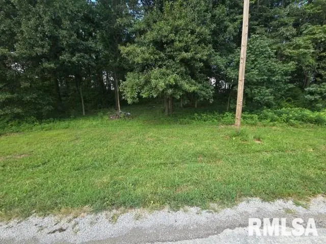 0000 E North Avenue, Bluford, IL 62814 - Image #2