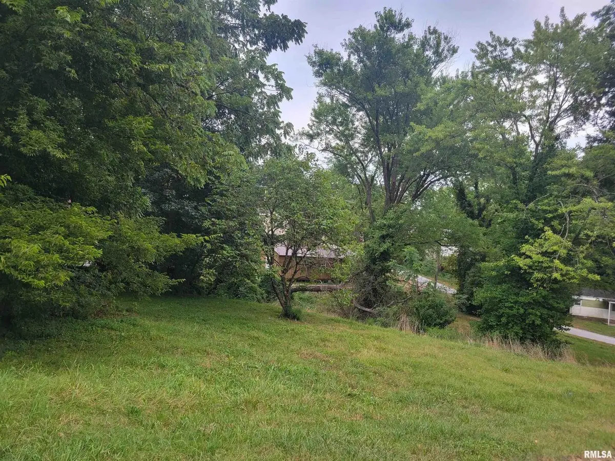 TBD J Street, Jonesboro, IL 62952 - Image #1