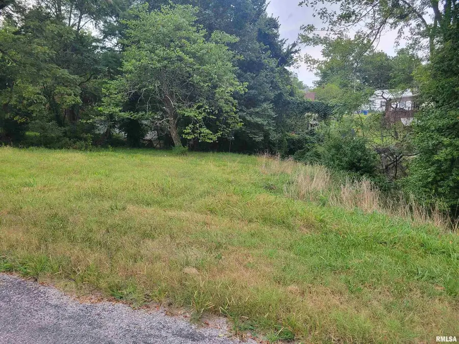 TBD J Street, Jonesboro, IL 62952 - Image #2