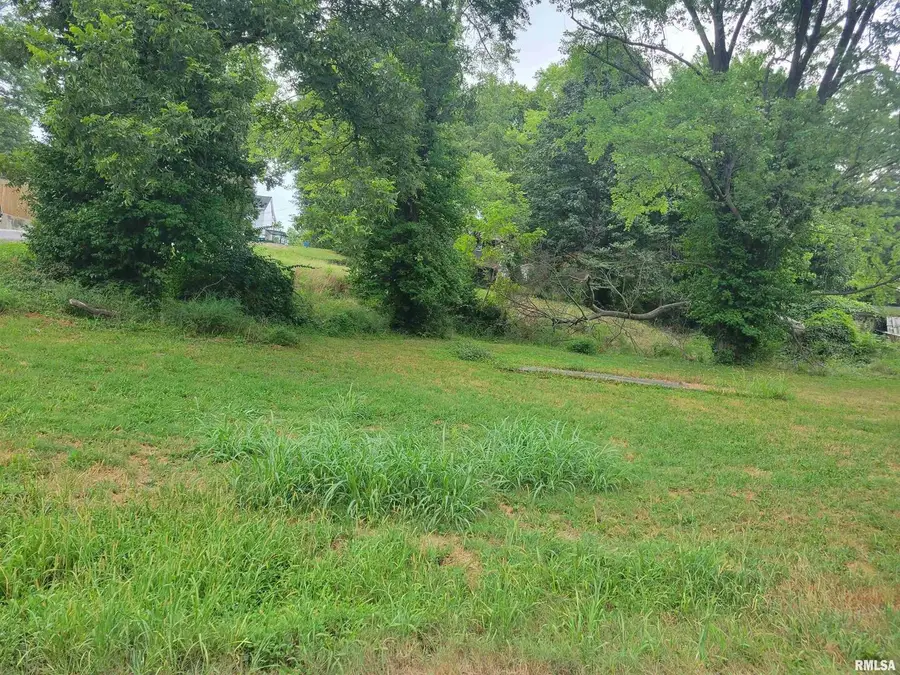 TBD J Street, Jonesboro, IL 62952 - Image #3