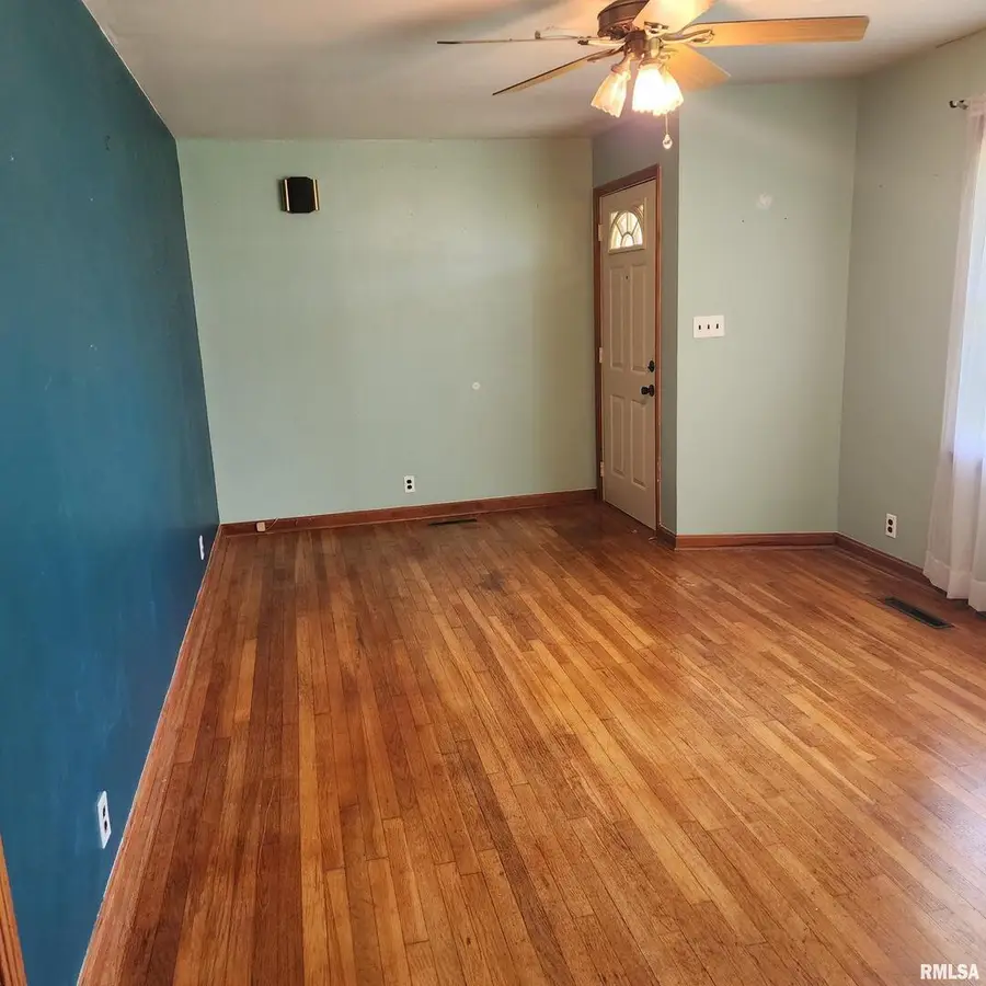 720 Birchwood Avenue, Flora, IL 62839 - #3