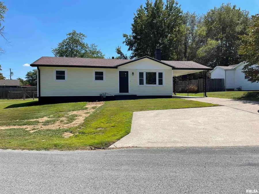 319 Lindsey Street, Metropolis, IL 62960 - Image #2