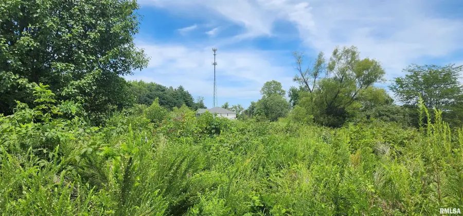 85 Maggie Lane, Makanda, IL 62958 - #2