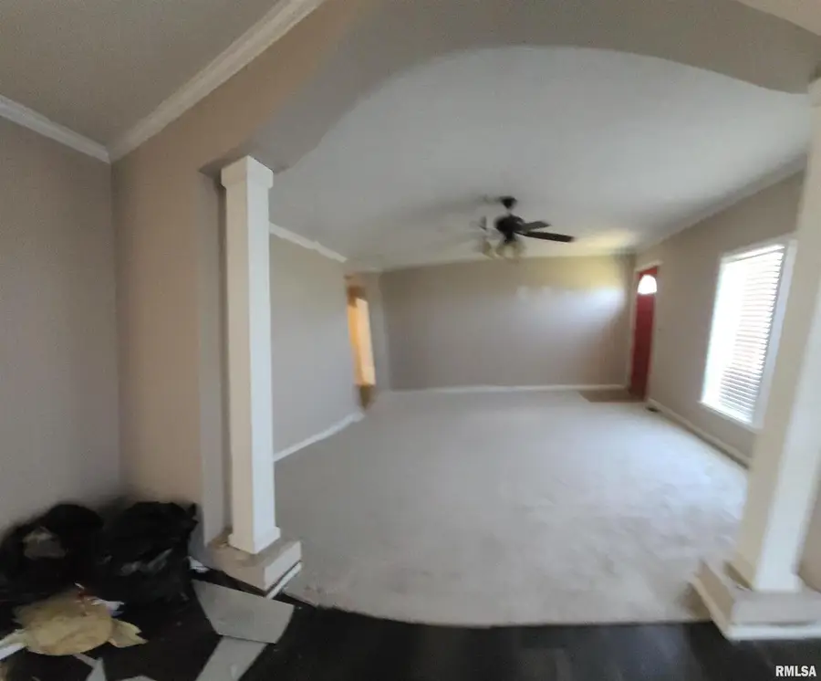 16035 Caplinger Pond Road, Marion, IL 62959 - #3