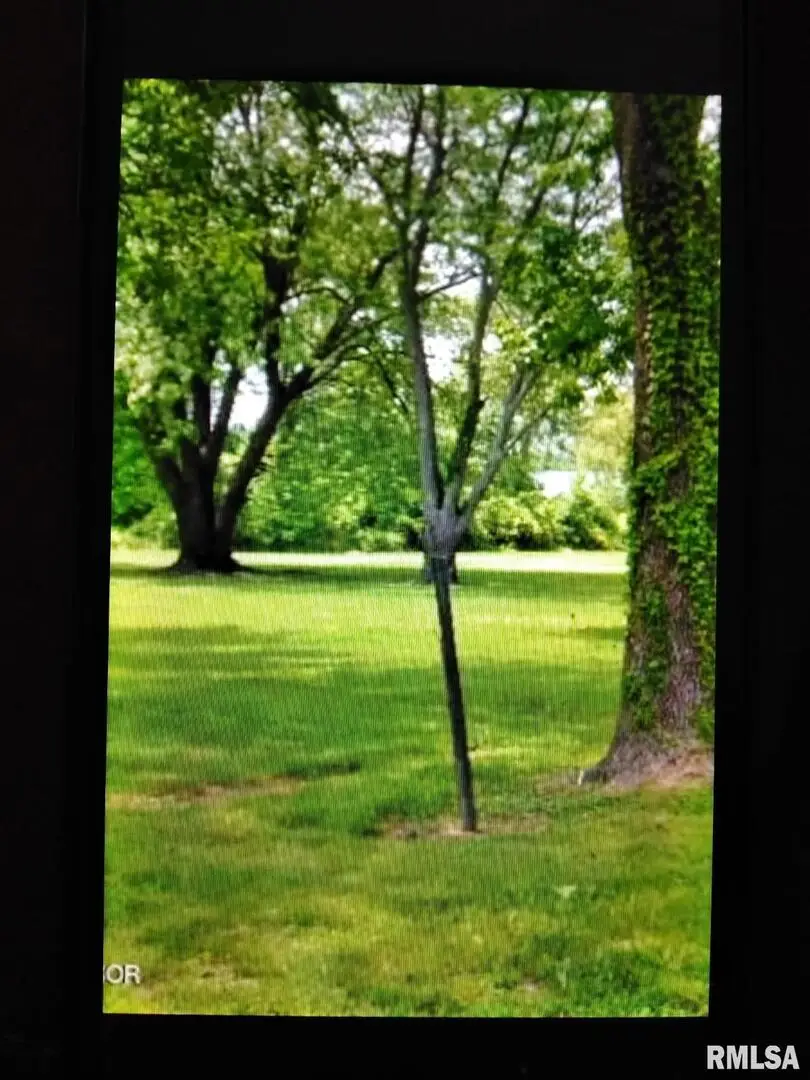 1604 and 1600 Mahoney Street, Eldorado, IL 62930 - Image #3