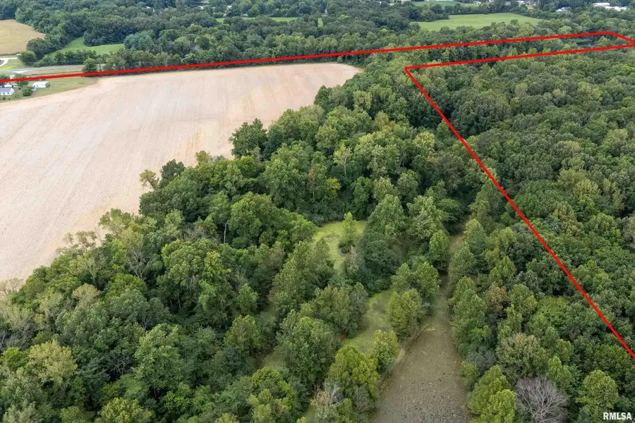 53 Private Road Road, De Soto, IL 62924 - Image #3