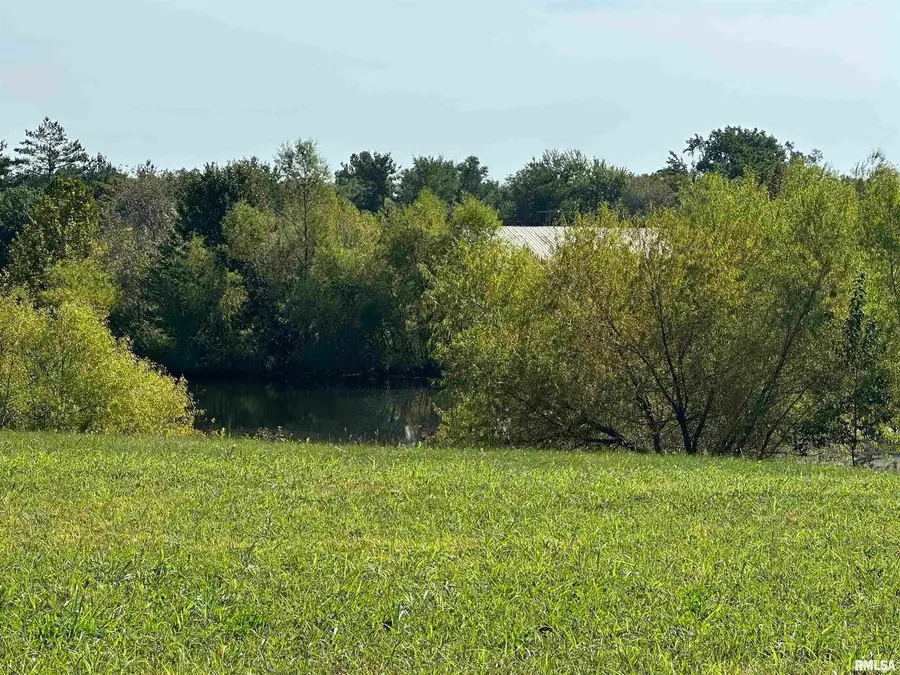 5 Cool Springs Road, Makanda, IL 62958 - #2