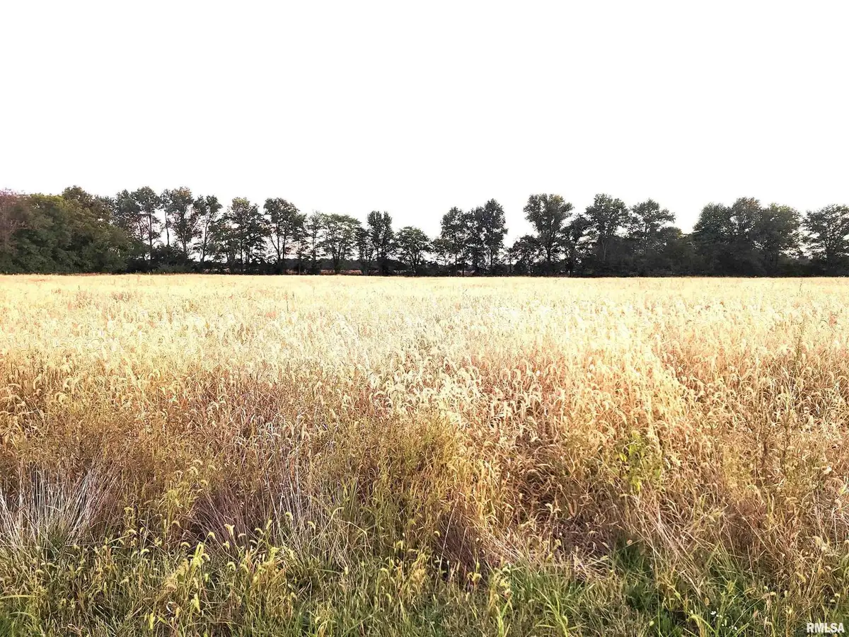 1682 E Coon Creek Road, Flora, IL 62839 - Image #1