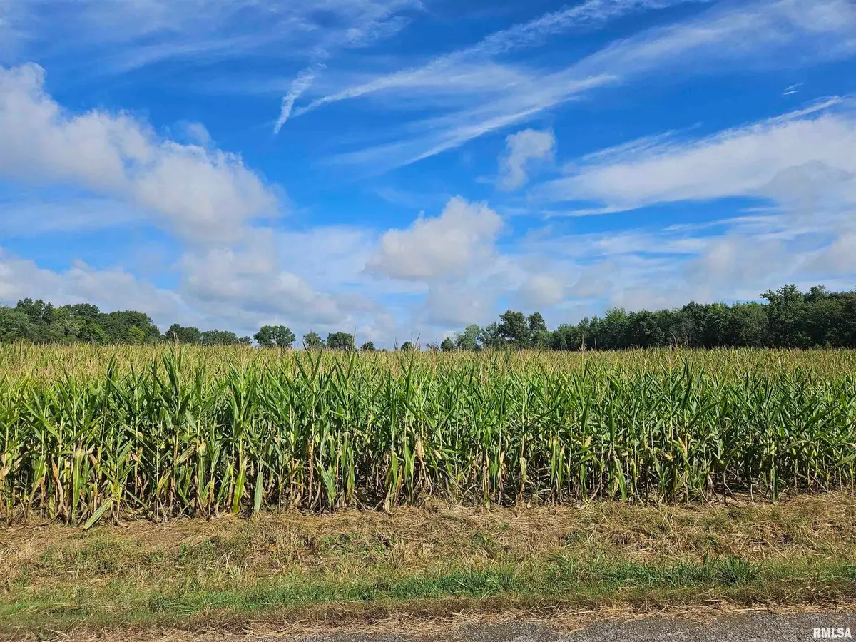 0000 N County Line Road, Ina, IL 62846 - Image #1