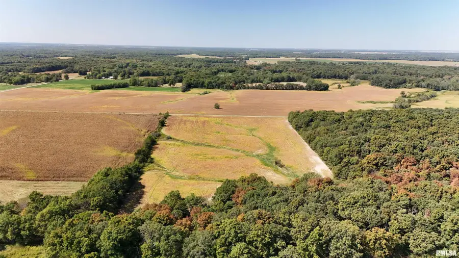 000 E Tallowtree Drive, Xenia, IL 62899 - Image #3