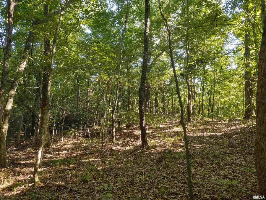 3830 Gum Springs Road, Ozark, IL 62972 - Image #2