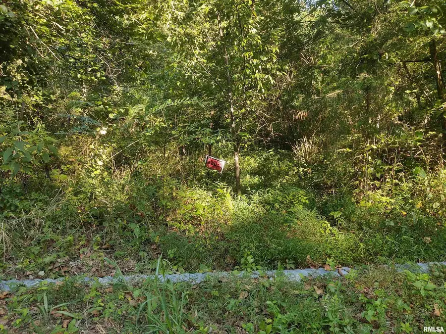 3830 Gum Springs Road, Ozark, IL 62972 - Image #3