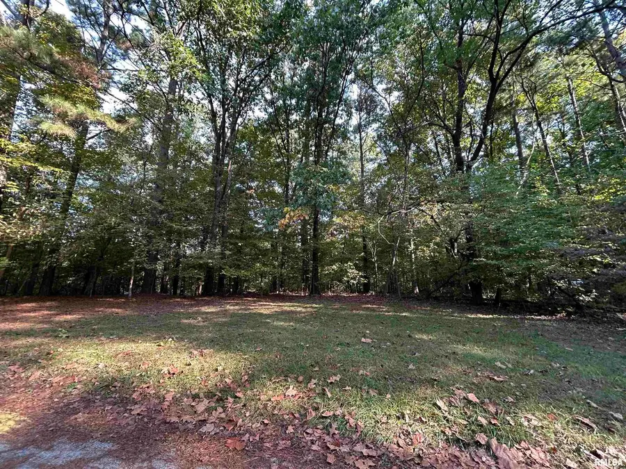 Lot 6 May Apple Lane, Carbondale, IL 62903 - #2