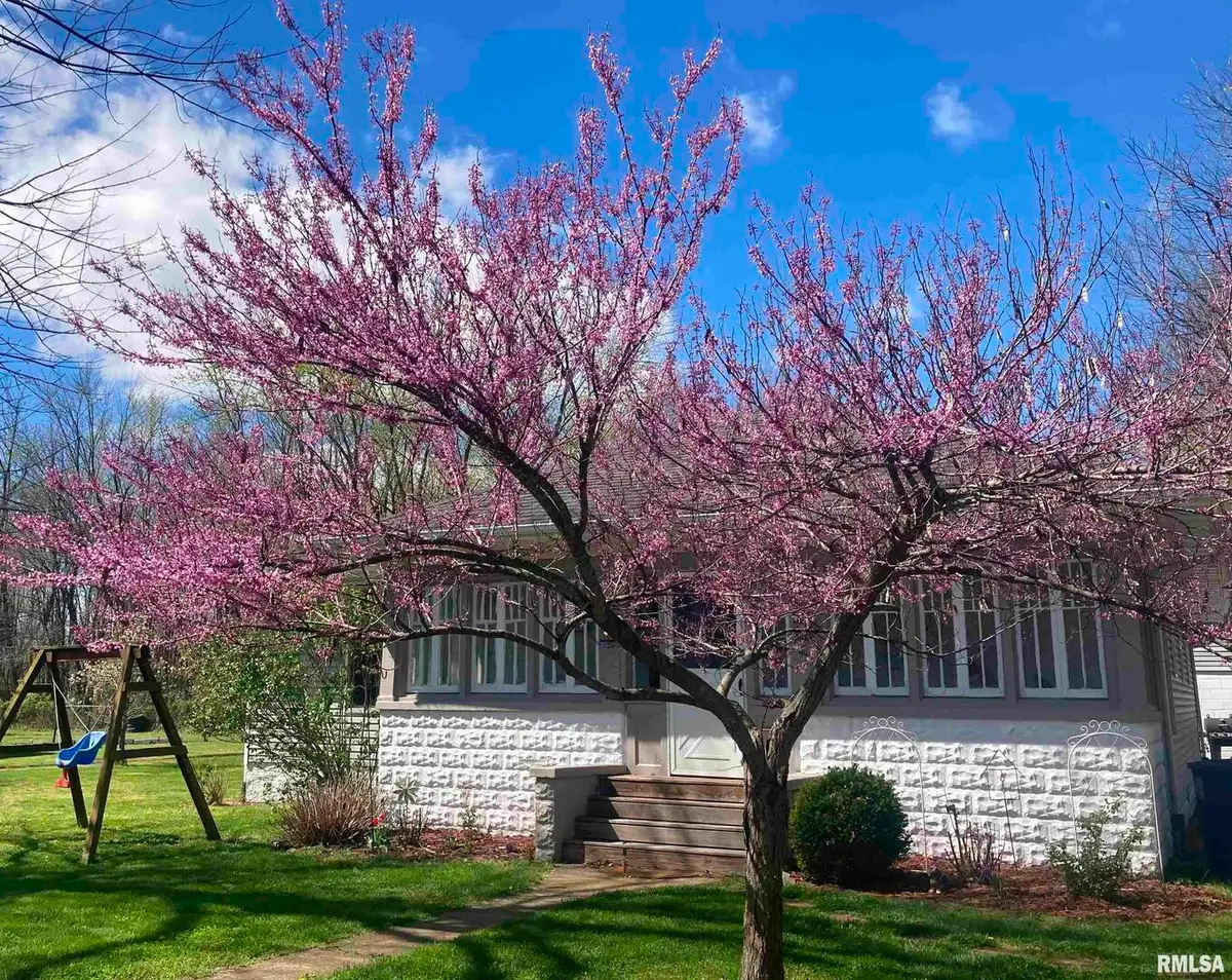 439 N Howard St Street, Du Quoin, IL 62832 - Image #1