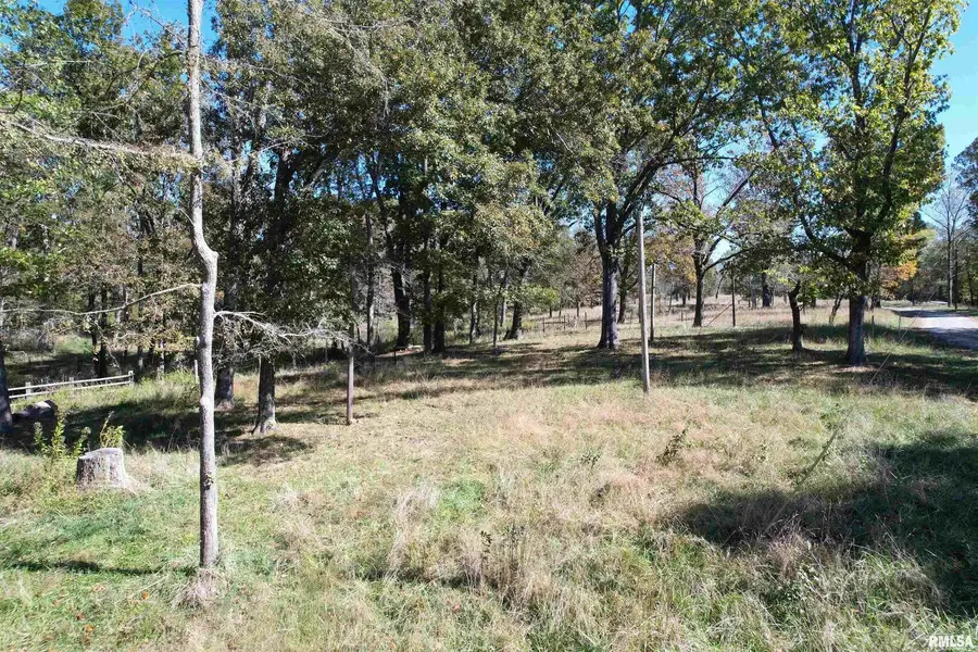 000 Lusk Road, Golconda, IL 62938 - #2