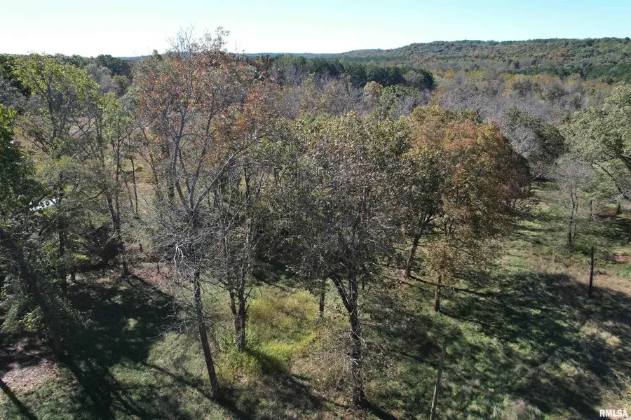 000 Lusk Road, Golconda, IL 62938 - Image #2