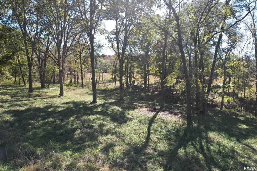 000 Lusk Road, Golconda, IL 62938 - Image #3