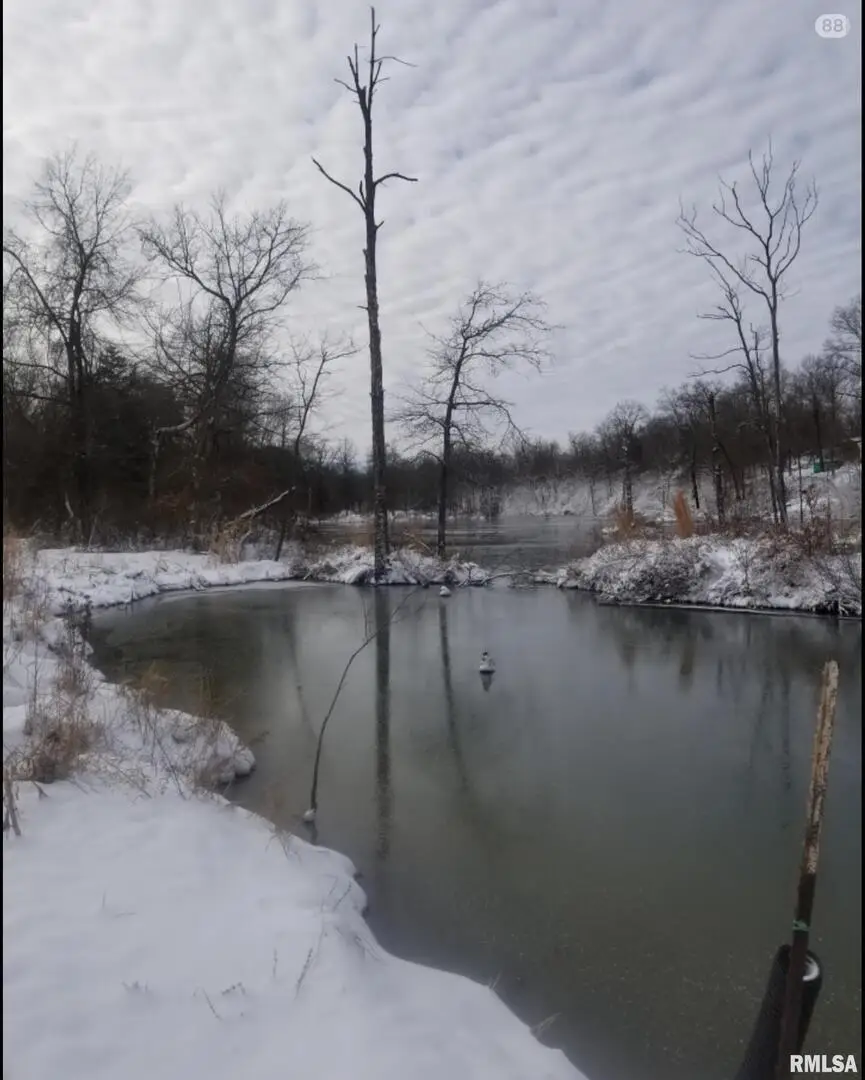 208 Dewmaine Road, Carterville, IL 62918 - Image #3