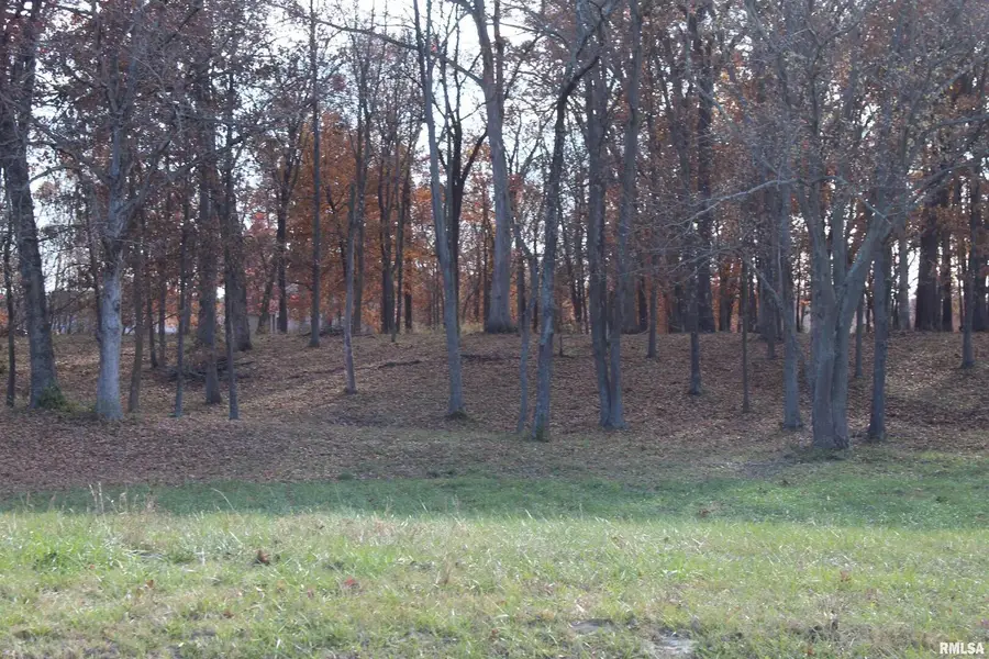 000 Birdie Drive, Mount Vernon, IL 62898 - Image #2