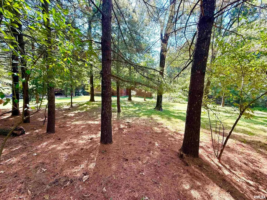 592 Brush Hill Road, Carbondale, IL 62901 - Image #3