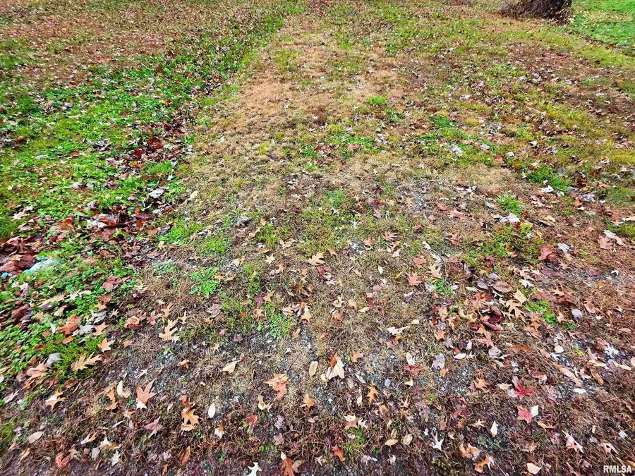 101 S Watkins Street, Cisne, IL 62823 - Image #3