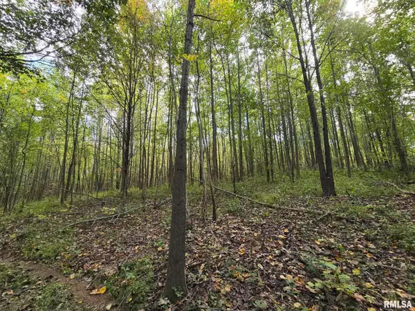 TBD State Highway 145 S Highway, Metropolis, IL 62960