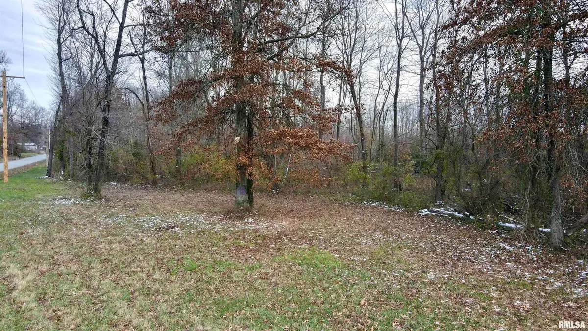 10200 Country Club Road, West Frankfort, IL 62896 - Image #1