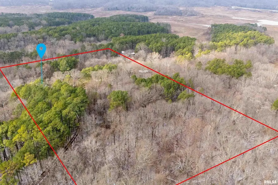 1201 Pine Ridge Ln Lane, Grassy, IL 62958 - Image #2