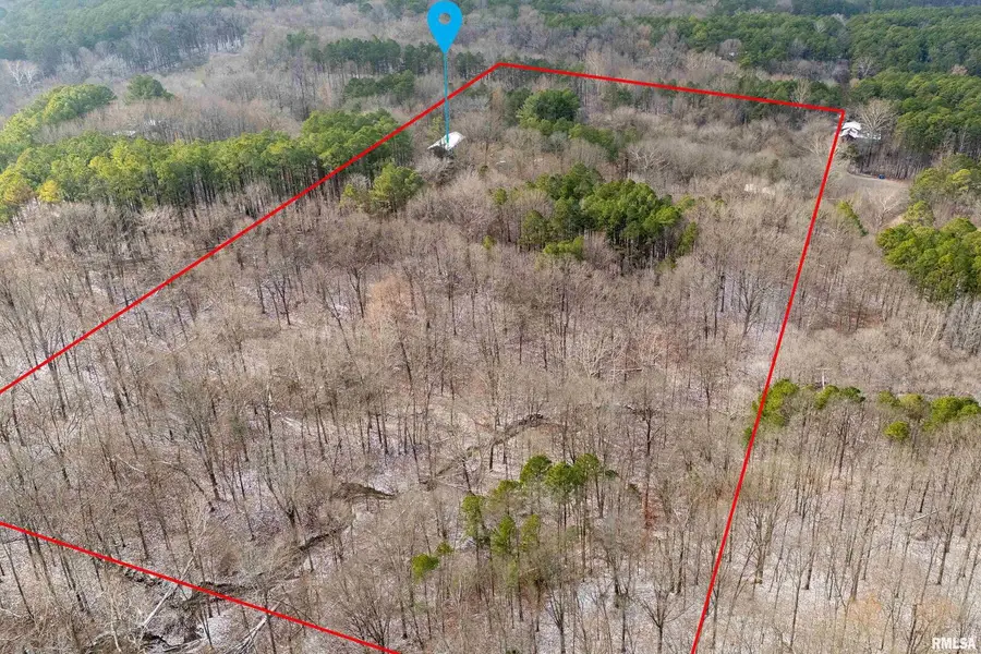 1201 Pine Ridge Ln Lane, Grassy, IL 62958 - Image #3