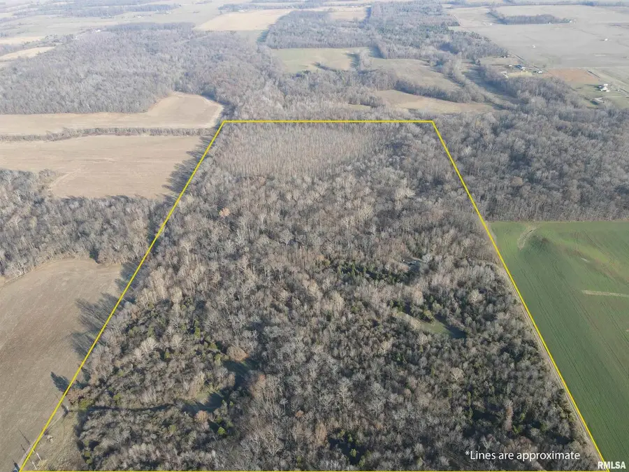 000 County 7 Highway, Cisne, IL 62823 - Image #2