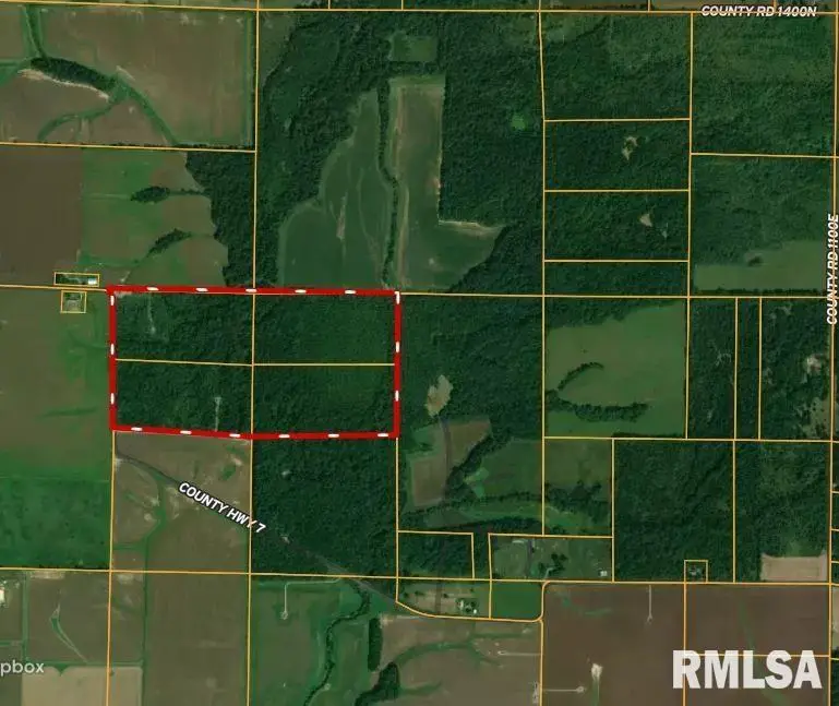 000 County 7 Highway, Cisne, IL 62823 - Image #3