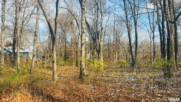 000 White Birch Court, Benton, IL 62812