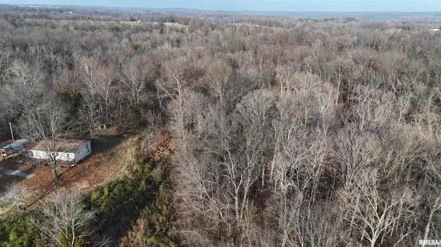 535 Cass Lane, Cobden, IL 62920 - #2