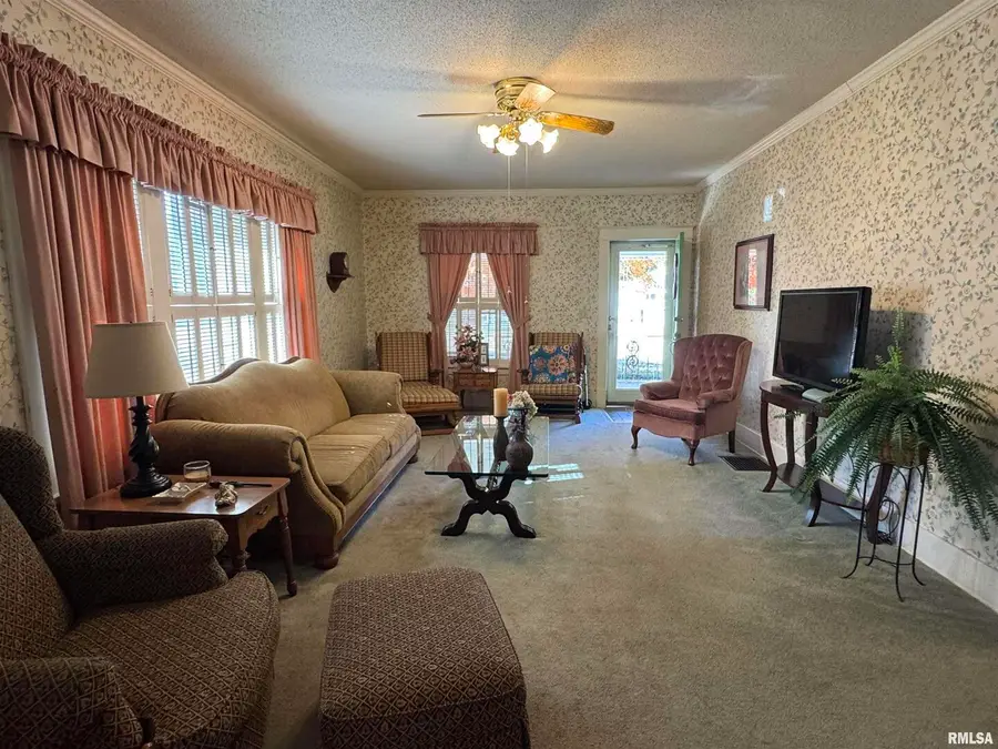 532 N Washington Street, Du Quoin No 1, IL 62832 - #3