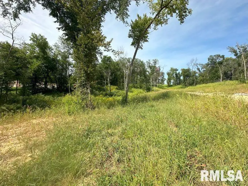 Lot 1 225th Street, De Witt, IA 52742 - Image #2