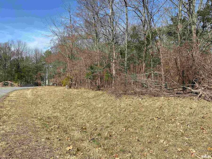 TBD Buckeye Hill Court, Goreville, IL 62939 - Image #2