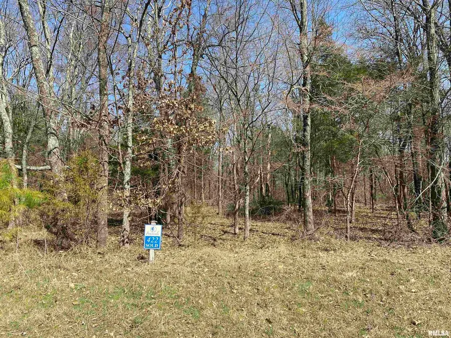 TBD Buckeye Hill Court, Goreville, IL 62939 - Image #3