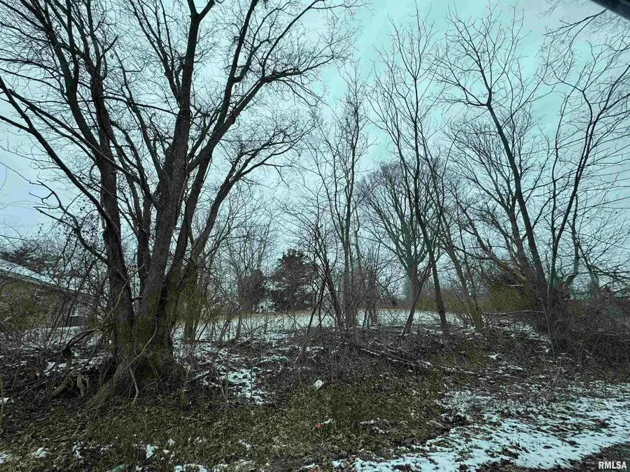 603 Vaux Street, Zeigler, IL 62999 - Image #2