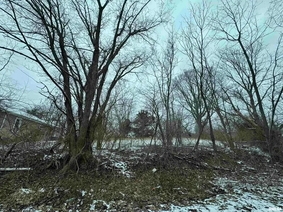 603 Vaux Street, Zeigler, IL 62999 - Image #3