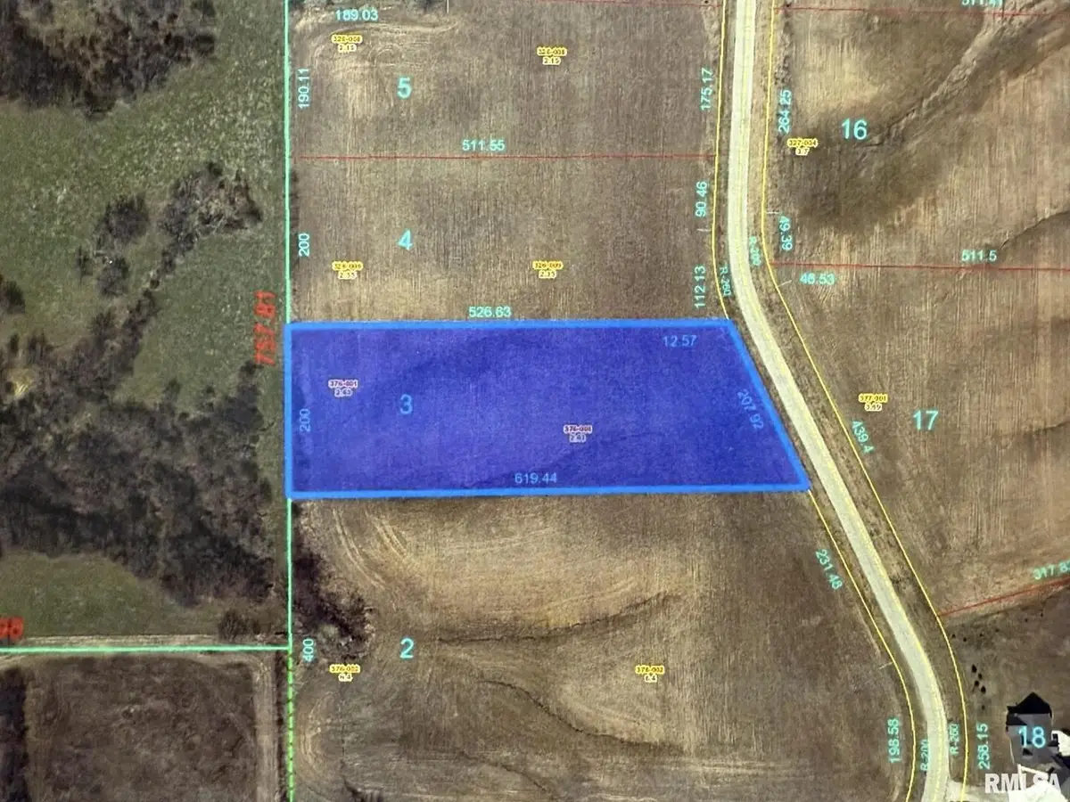 2320 Olof Krans Avenue, Galva, IL 61434 - Image #1