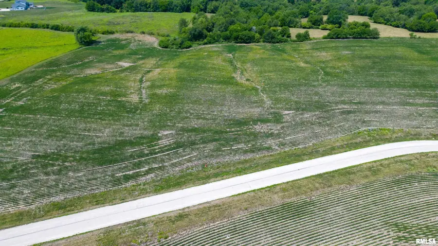 2320 Olof Krans Avenue, Galva, IL 61434 - Image #2