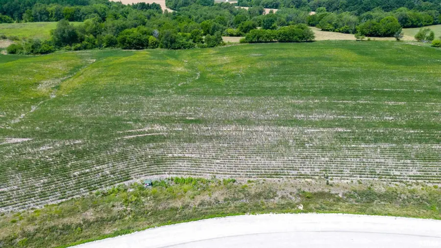 2440 Olof Krans Avenue, Galva, IL 61434 - Image #2